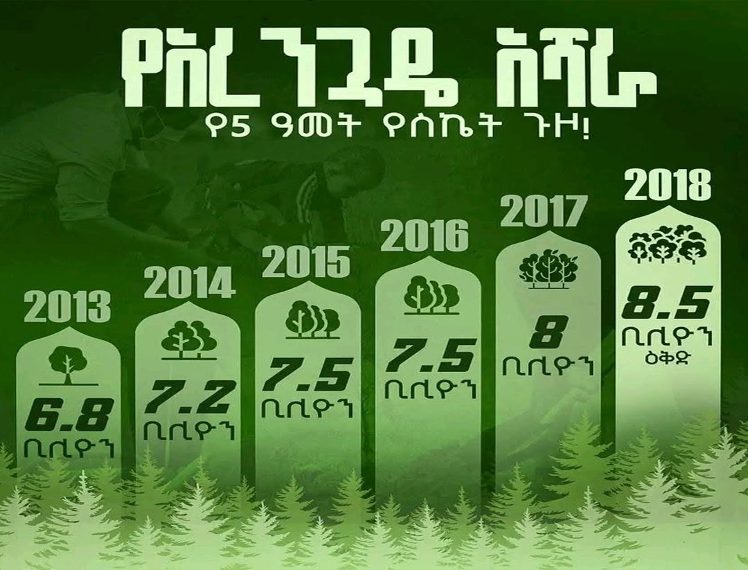 news001
